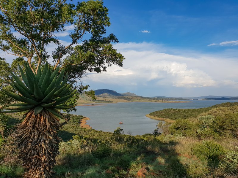 Wide shot of Spion Kop dam with cactus and tree. stock photo