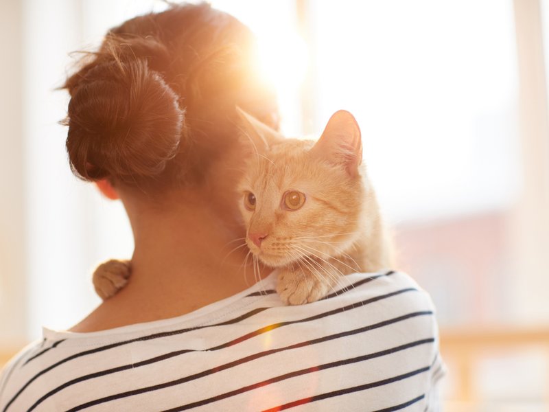 Owner holding cat