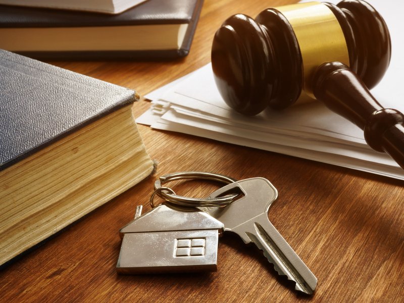 Law constituiton