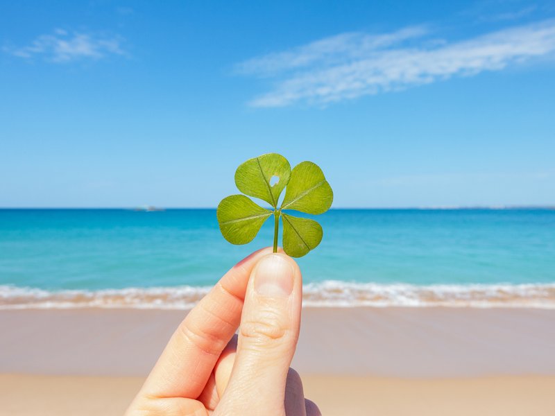 Four leaf