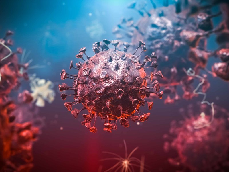 covid-19 corornavirus concept generic image