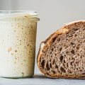 Scientists found yeast in ancient Iceman's guts and made bread