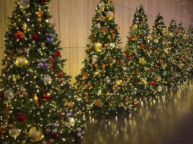 VIDEO: Viewers confused by Christmas tree cleaning video