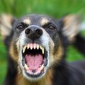 iStock-588364784.max-800x600