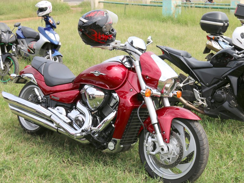 LISTEN: "Our dog ate an entire motorbike!"