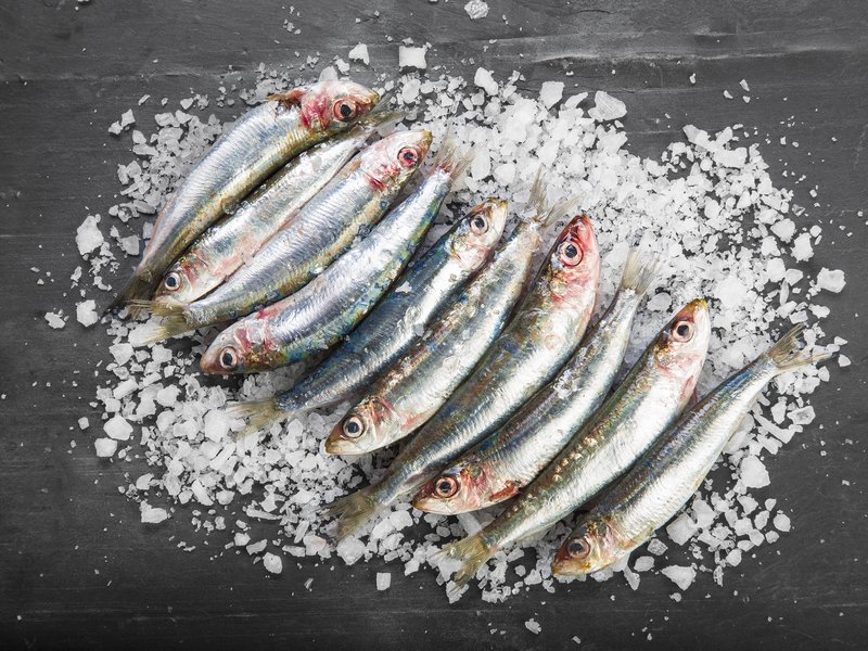Fresh sardines on a coarse salt layer over a slate background