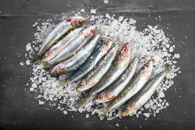 Fresh sardines on a coarse salt layer over a slate background