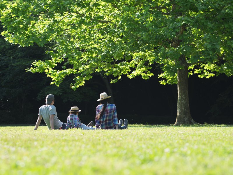 Father and mother and daughter relax on the lawn stock photo