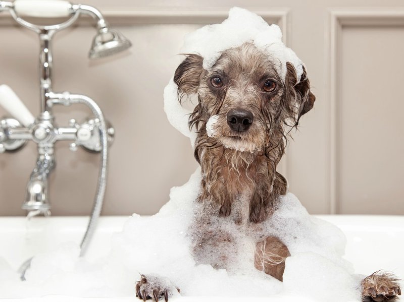 How to make homemade bubble bath