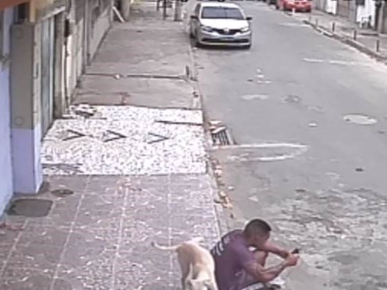 image video dog peeing funny