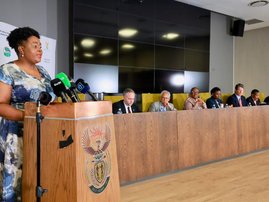Migration Committee chairperson Mmamoloko Kubayi