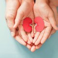 Children face longest waits as SA battles kidney transplant shortage