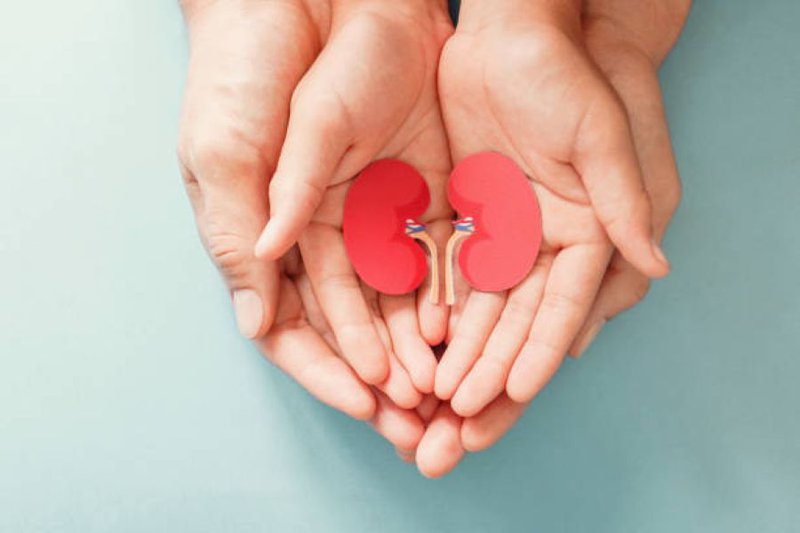 Children face longest waits as SA battles kidney transplant shortage