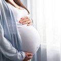 Pregnant woman stock foto
