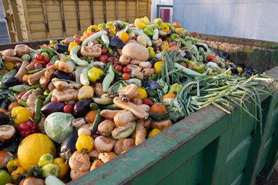 Thousands of tonnes of fruit and veg frittered away annually in SA: study