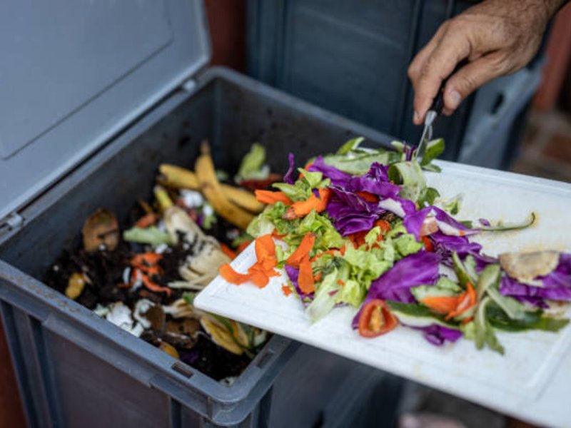 SA food waste double blow to hungry