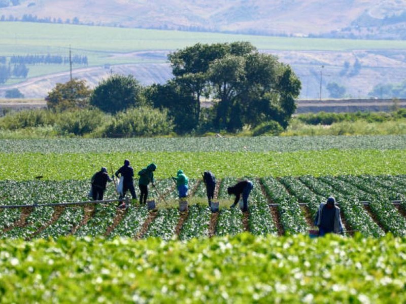Farm workers generic image