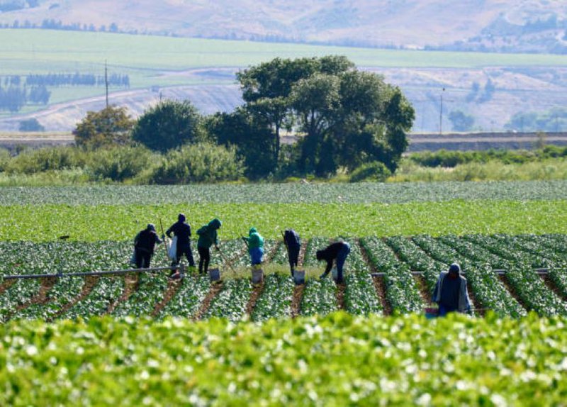 Farm workers generic image