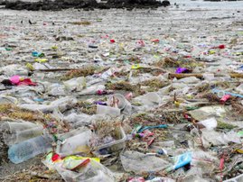 PLASTIC POLLUTION