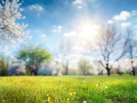 SPRING
