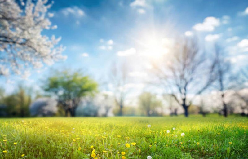 Spring is springing, with rising temperatures