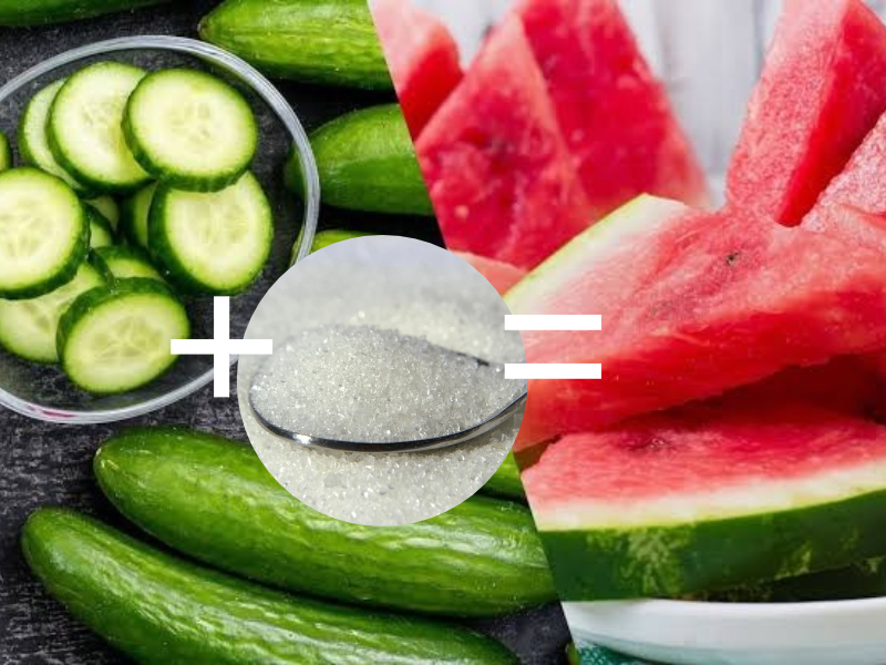 WATCH: Does cucumber and sugar taste like watermelon?