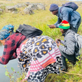 LISTEN: How to be a part of the biggest nature survey in the Southern Hemisphere