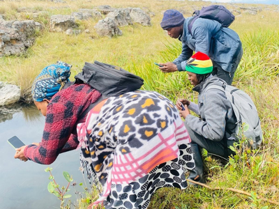 LISTEN: How to join the biggest nature survey in the Southern Hemisphere