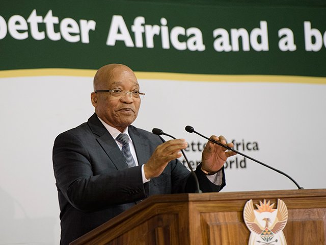 zuma-gallo