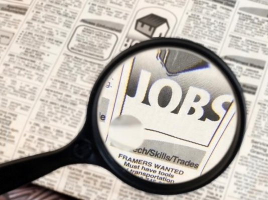 job-search-newspaper1_0