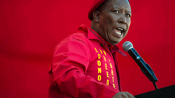 EFF leader, Julius Malema