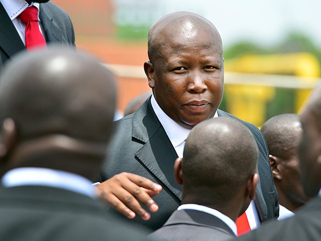 julius_malema2_gallo_mB4NStG.jpg