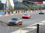kyalami gallo.jpg