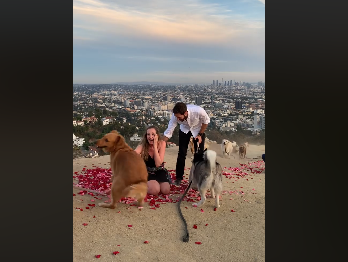 laura stampler proposal