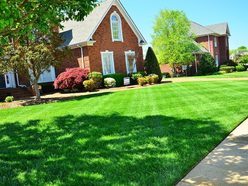 Lawn