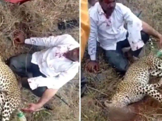 Man kills leopard in Karnataka village