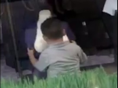 Internet is divided over little boy's private moment with mannequin