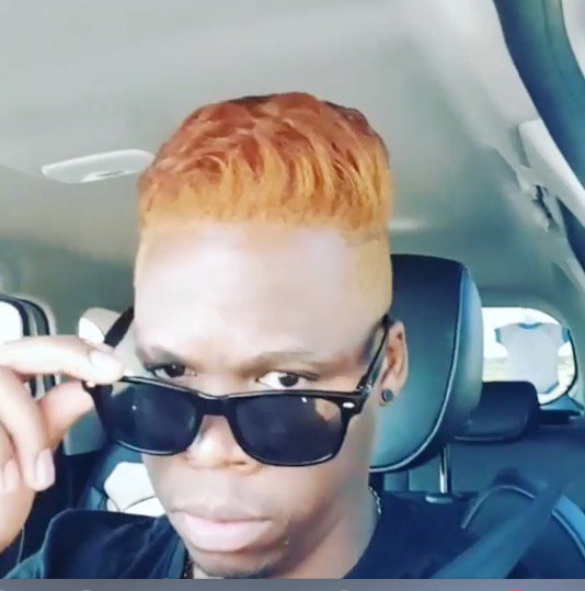 lloyd cele image hair funny image