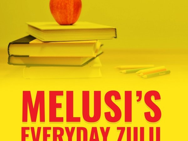 melusi's everyday zulu new artwork