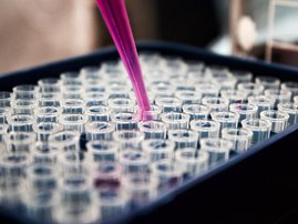 DNA tests generic