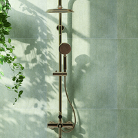 modern and luxury bathroom with gold rain shower head