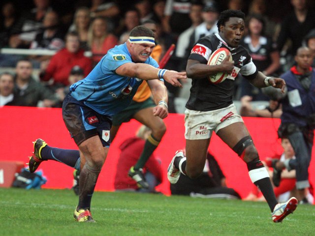 lwazimvovo_gallo_4.jpg