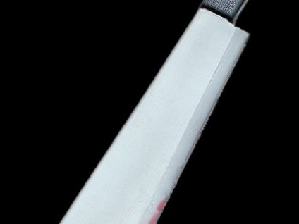 machete.jpg