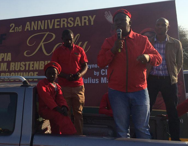 malema.png