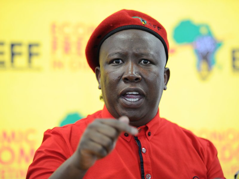 malema1_1.jpg