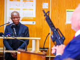 Julius Malema in court