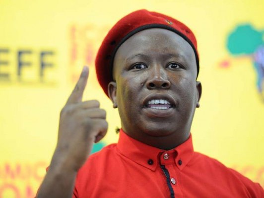 malema_12.jpg