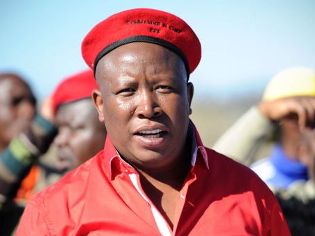 malema 3.jpg