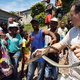 Black Mamba caught in Chatsworth