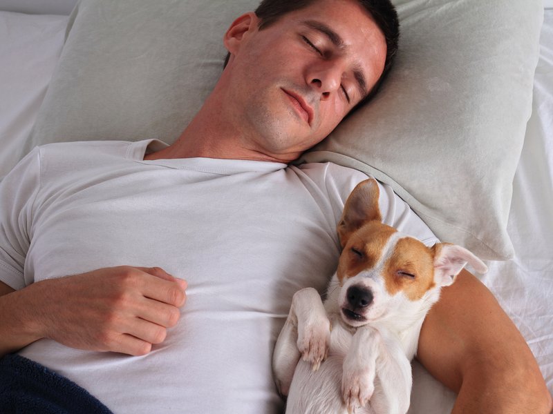 Man and dog sleeping in bed